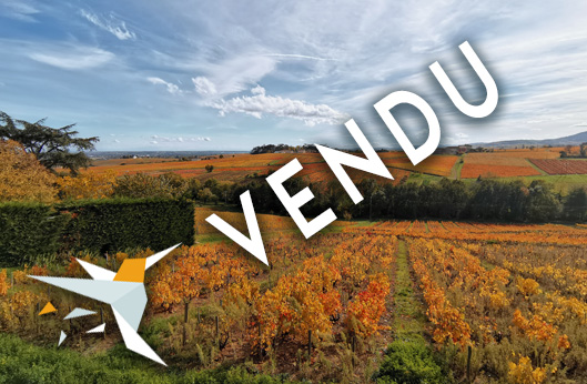 Odenas-vendu-04-2022